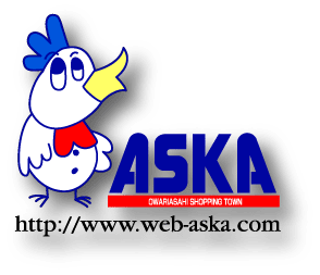 web-aska.com